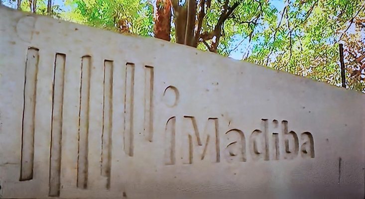 imadiba1